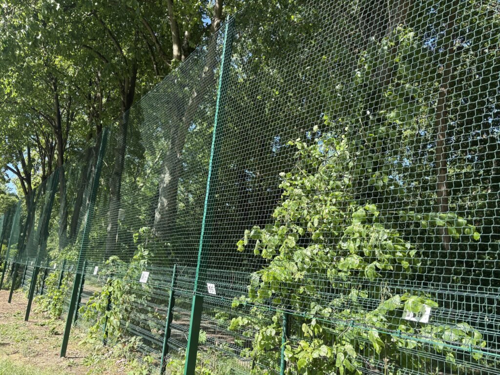 Vente de pare-ballon et panneaux à Paris